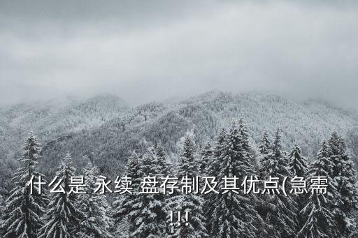 什么是 永續(xù) 盤(pán)存制及其優(yōu)點(diǎn)(急需!!!