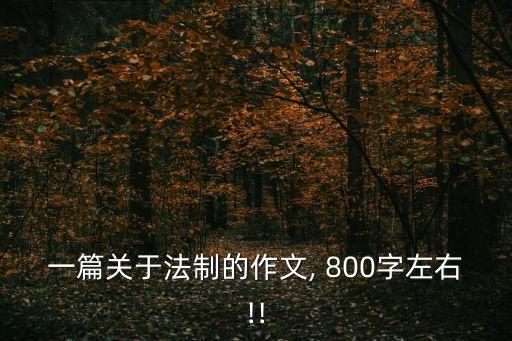 以法律為主題的論文800