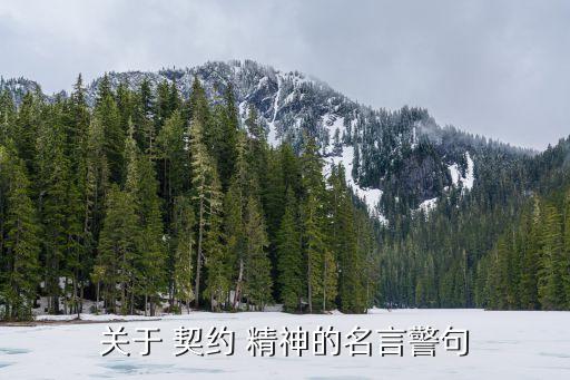 關(guān)于 契約 精神的名言警句
