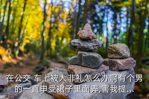 白領(lǐng)車上被辱