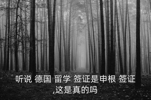 德國留學(xué)簽證