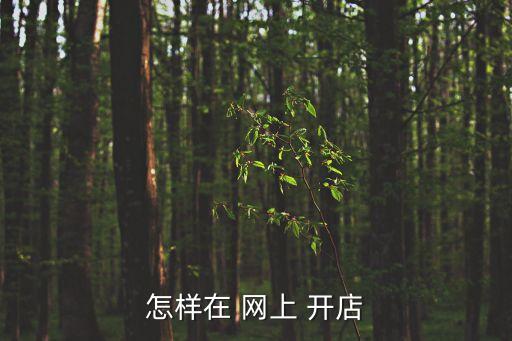 怎樣在 網(wǎng)上 開店