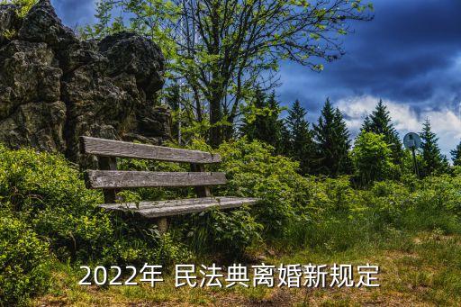 2022年 民法典離婚新規(guī)定