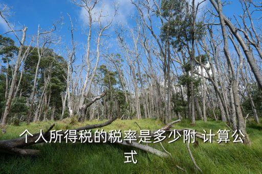  個(gè)人所得稅的稅率是多少附 計(jì)算公式