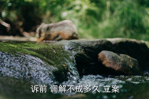 訴前調解一般要過多長時間立案,網貸訴前調解一般要過多長時間立案