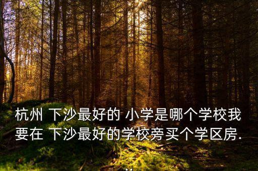 杭州 下沙最好的 小學(xué)是哪個(gè)學(xué)校我要在 下沙最好的學(xué)校旁買個(gè)學(xué)區(qū)房...