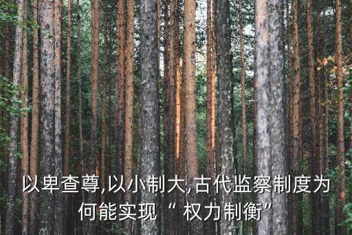 權(quán)力平衡,鋼鐵雄心4國(guó)家權(quán)力平衡