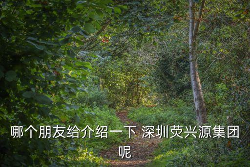 深圳經(jīng)偵