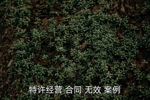 特許經(jīng)營 合同 無效 案例