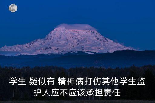 學(xué)生 疑似有 精神病打傷其他學(xué)生監(jiān)護(hù)人應(yīng)不應(yīng)該承擔(dān)責(zé)任