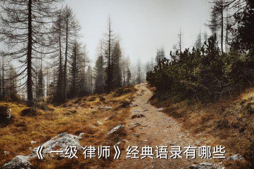 一級律師
