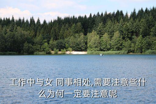 和女同事