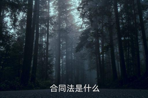 獨立合同規(guī)定在哪個法律里,合同條款和法律規(guī)定哪個有效