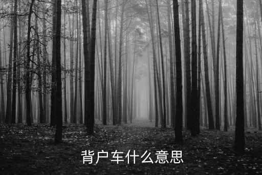  背戶車什么意思