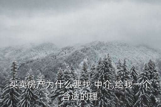 中介市場(chǎng)
