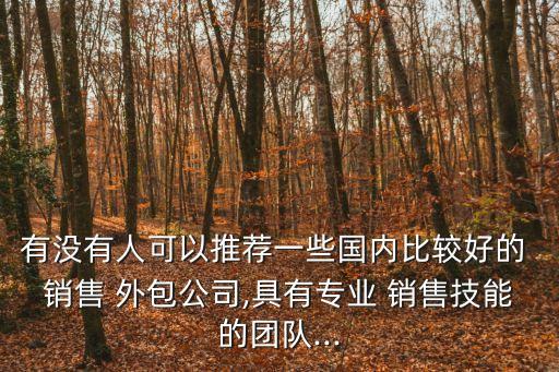 有沒有人可以推薦一些國內(nèi)比較好的 銷售 外包公司,具有專業(yè) 銷售技能的團(tuán)隊...