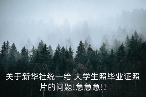 大學生照片