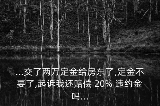 二手房買方違約判賠20%案例
