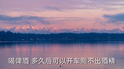 喝啤酒 多久后可以開車測不出酒精