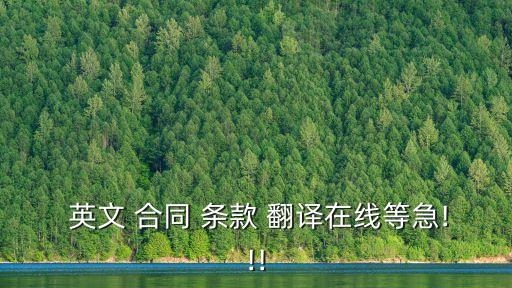  英文 合同 條款 翻譯在線等急!!!
