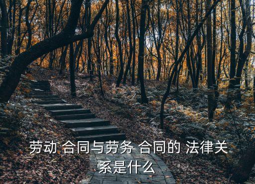 勞動合同法律關系有哪些,解除勞動合同法律關系