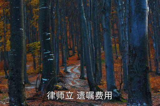 老人私自立遺囑有效嗎,老人立遺囑怎么才合法有效