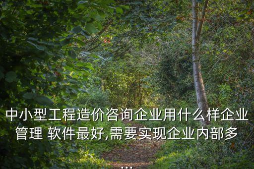 中小型工程造價(jià)咨詢企業(yè)用什么樣企業(yè)管理 軟件最好,需要實(shí)現(xiàn)企業(yè)內(nèi)部多...