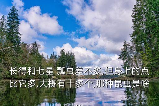 長得和七星 瓢蟲差不多,但身上的點(diǎn)比它多,大概有十多個(gè),那種昆蟲是啥...