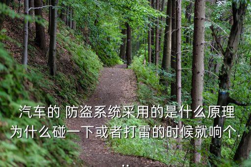 汽車防盜