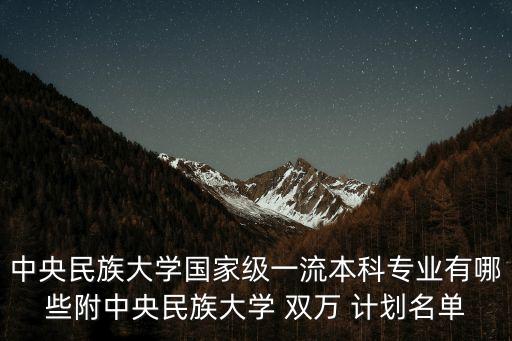 中央民族大學(xué)國家級一流本科專業(yè)有哪些附中央民族大學(xué) 雙萬 計劃名單