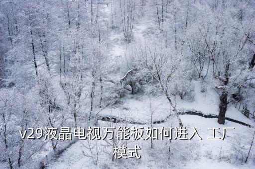 v29液晶電視萬能板如何進入 工廠模式