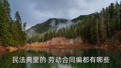 民法典中勞動(dòng)合同法內(nèi)容,2022民法典勞動(dòng)合同法
