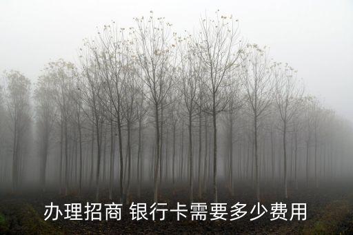 辦理招商 銀行卡需要多少費用