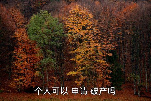 個人可以 申請 破產(chǎn)嗎