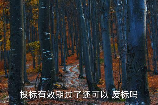 投標(biāo)有效期過了還可以 廢標(biāo)嗎