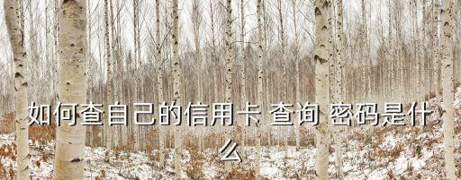 如何查自己的信用卡 查詢 密碼是什么