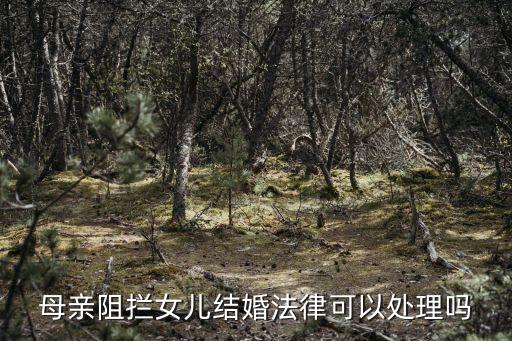 搶婚犯法嗎,女朋友訂婚了還有機會挽回嗎