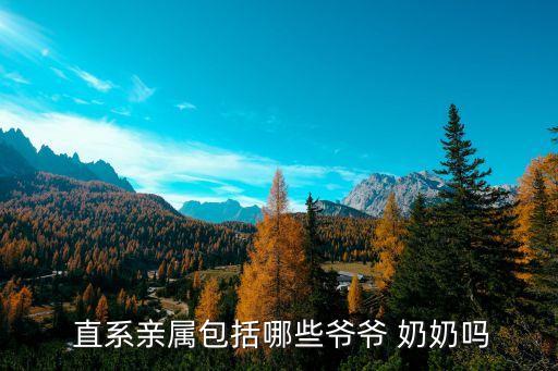  直系親屬包括哪些爺爺 奶奶嗎