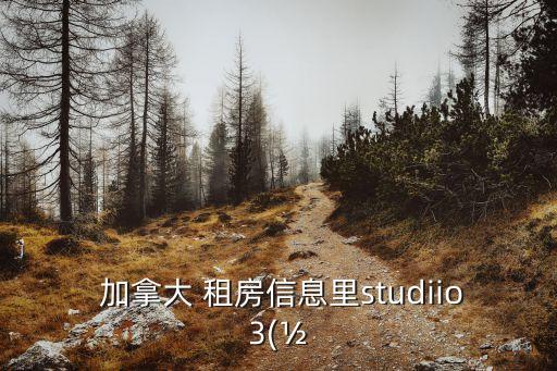  加拿大 租房信息里studiio3(?