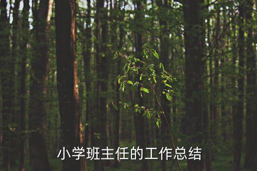  小學(xué)班主任的工作總結(jié)