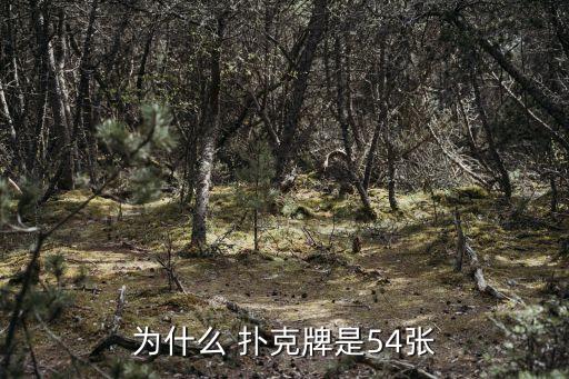 性撲克