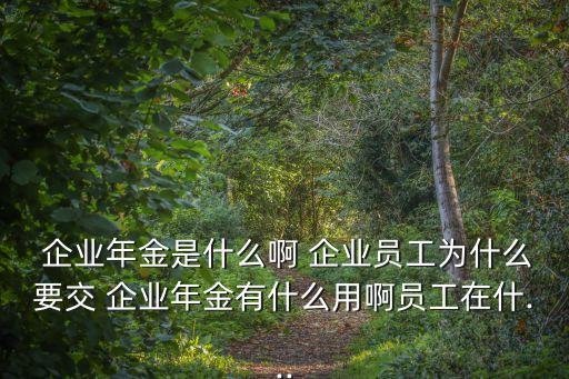  企業(yè)年金是什么啊 企業(yè)員工為什么要交 企業(yè)年金有什么用啊員工在什...