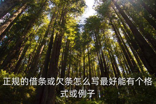 正規(guī)的借條或欠條怎么寫最好能有個(gè)格式或例子
