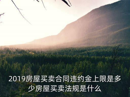 2019年合同法最新,農村土地承包合同法2019全文