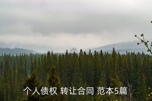 個人債權(quán) 轉(zhuǎn)讓合同 范本5篇