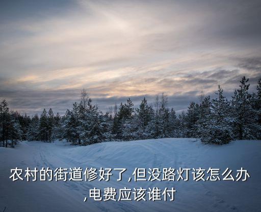 農(nóng)村的街道修好了,但沒路燈該怎么辦,電費應(yīng)該誰付