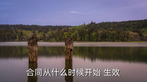 合同法的生效