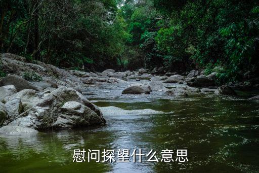 慰問(wèn)是什么意思,眷戀是什么意思