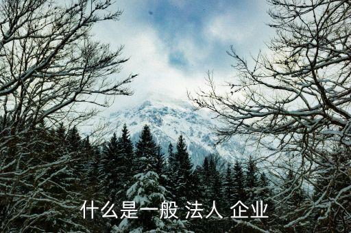 什么是一般 法人 企業(yè)