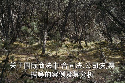 關(guān)于國際商法中 合同法,公司法,票據(jù)等的案例及其分析